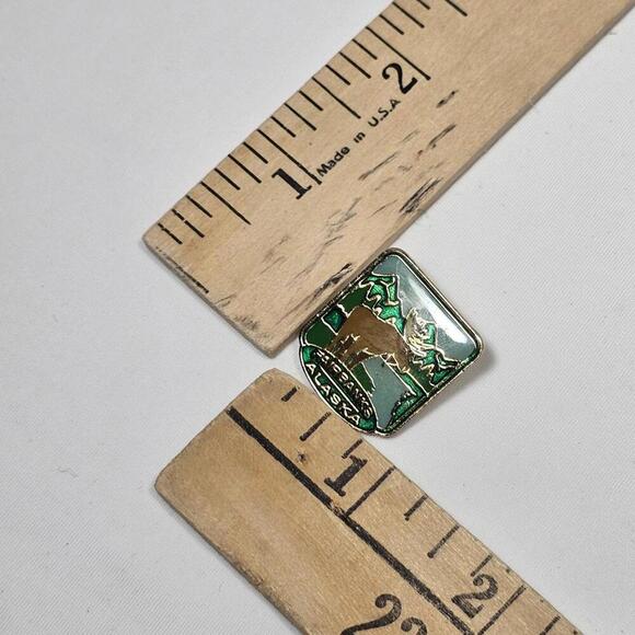 Vintage Fairbanks Alaska Pin. Green Mountains Moose Travel Pin Resin Over Enamel - Picture 4 of 4